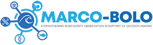 Marco-Bolo Project Banner